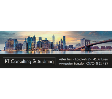 PT Consulting & Auditing